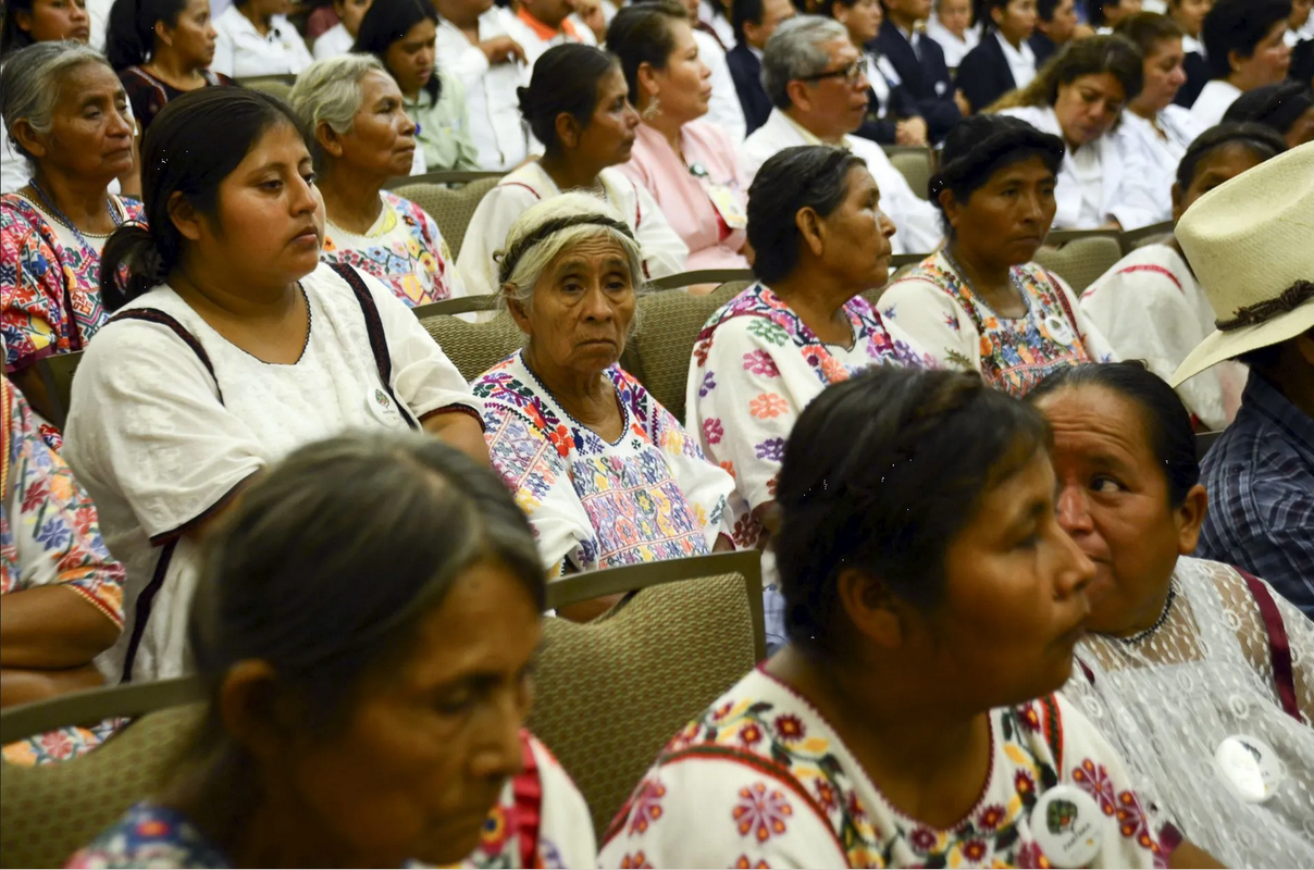  Proponen desarrollar un sistema de partería profesional en México