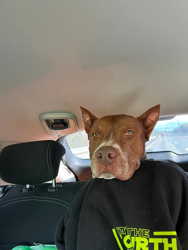 469BAA93-70D2-437E-B21F-E5706AC12E6F