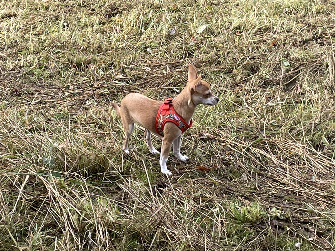 DCAB5CC2-E67B-4A75-B747-0D267A9B61F2