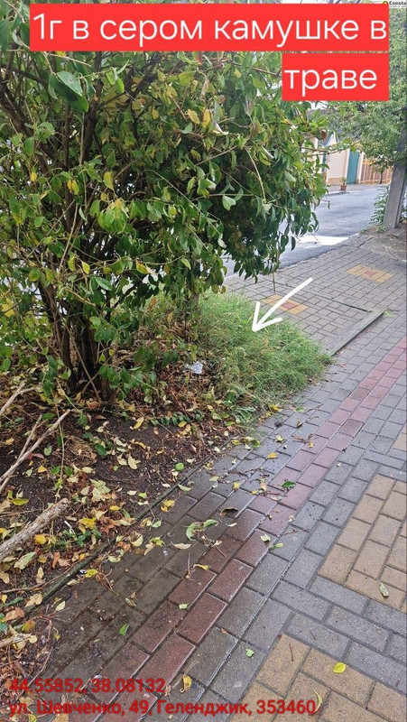 image3250_0