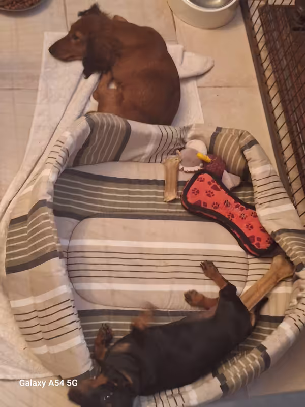 [Image: 20241011-204257.avif]