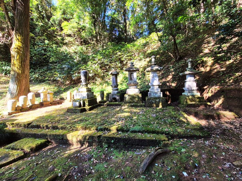 Japón y sus Pueblos-2024 - Blogs de Japon - Heiwa Kannon y Templo Ooyaji-13-11-2024 (53)