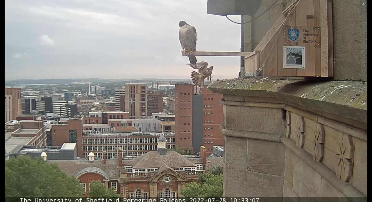 Sheffield/Yorkshire. - Pagina 4 Video-2022-07-28-124855-Moment-2