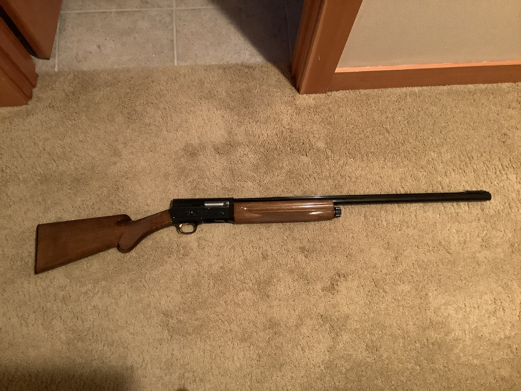 1722B446-0F82-48F7-96F5-B9FBA9BE99C3