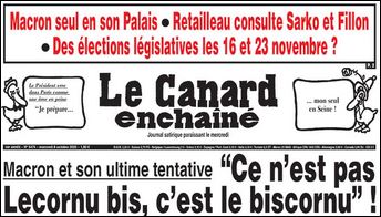 text alternatif