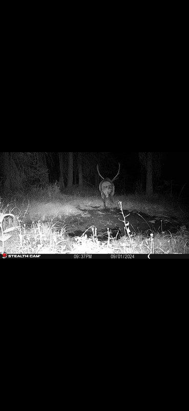 Screenshot_20250619_222551_Gallery