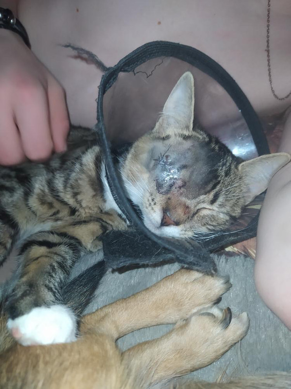 0C9396C5-546E-4687-9A22-11790C4D08EE