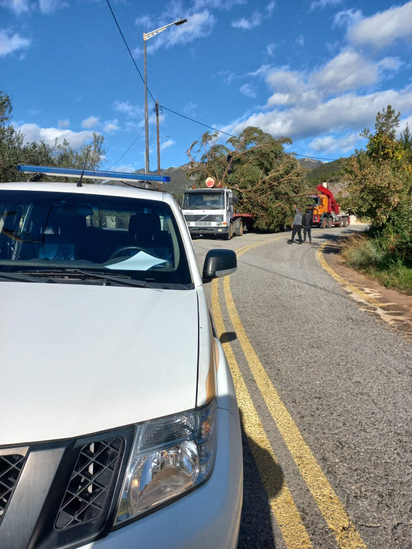 εικόνα_Viber_2024-11-23_14-27-20-151