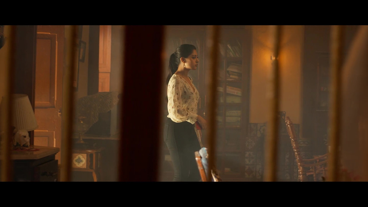 vlcsnap-2021-11-23-16h30m46s417