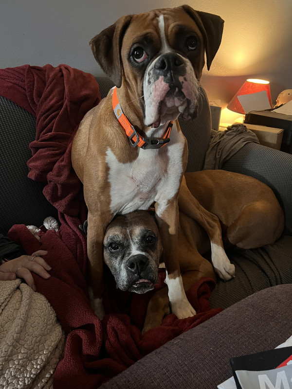 1C3D1BFB-914D-4AF2-990B-372CE5E9B7D9