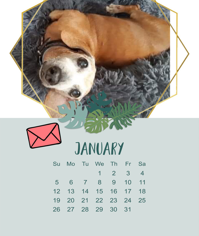 [Image: 4550-BDF7-F33-F-48-DA-AB34-379-A247072-A5.jpg]