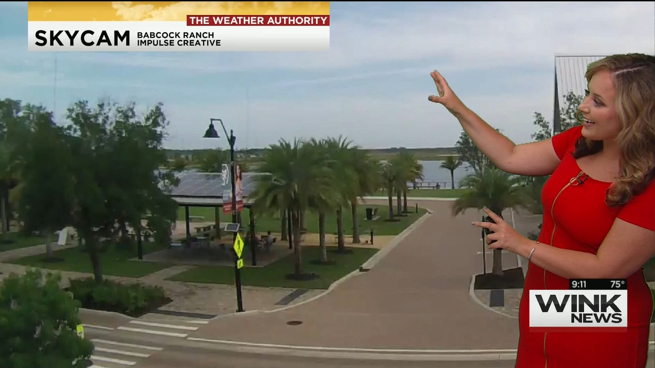 23 May - 14.00.00 - WINK News @ 9 00AM..ts_snapshot_00.16.23_[2020.05.23_17.12.39]