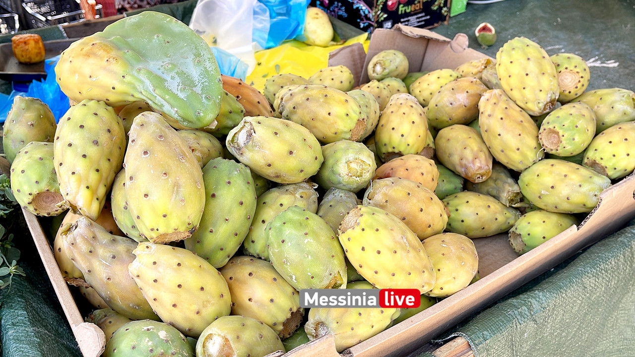 ΑΓΟΡΑΑimage00016