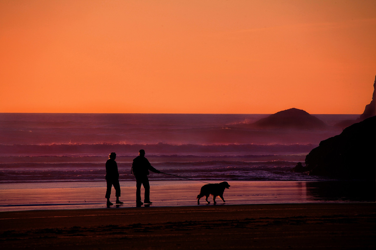 ornagebeachdogwalking.jpg