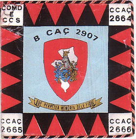 BCac2907