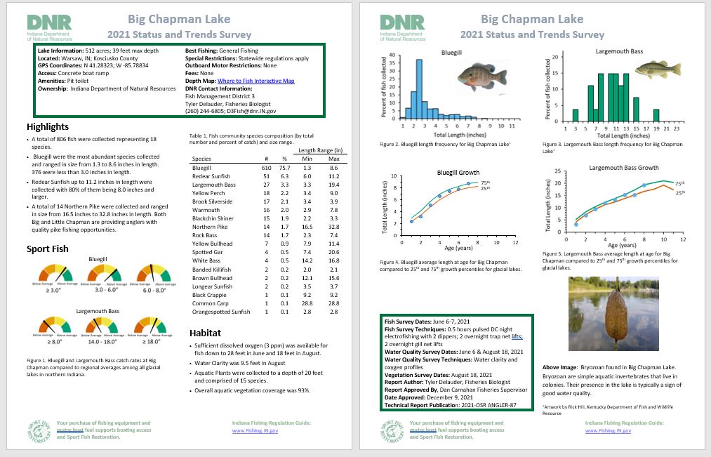 Big Chapman Report 2021