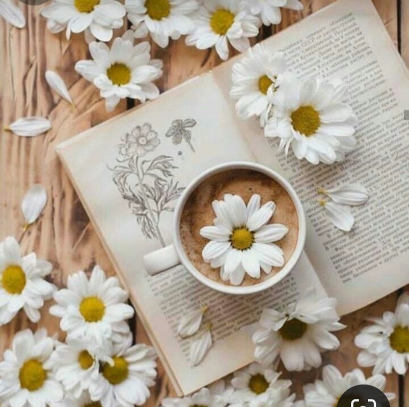 Screenshot_20240506_225232_Pinterest