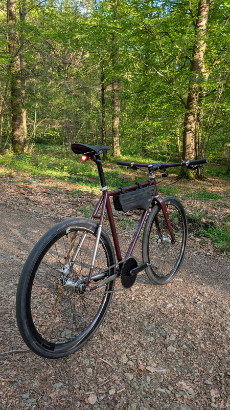 PXL_20250429_172409759.MP