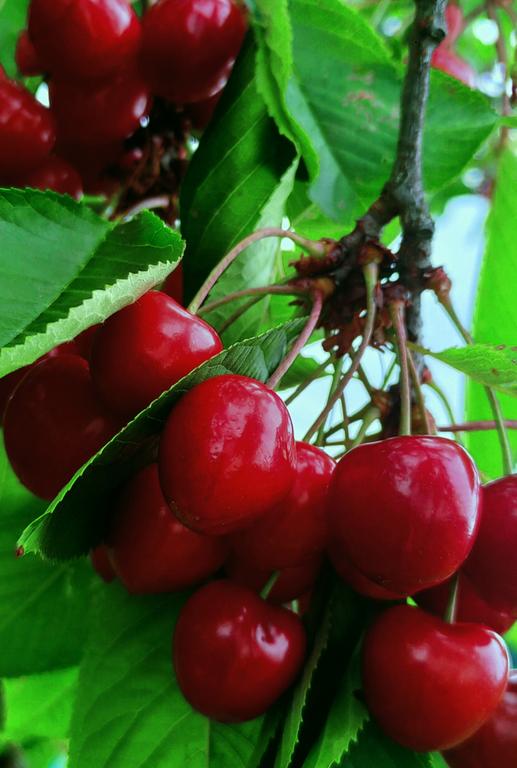 IMG 20260606 151701