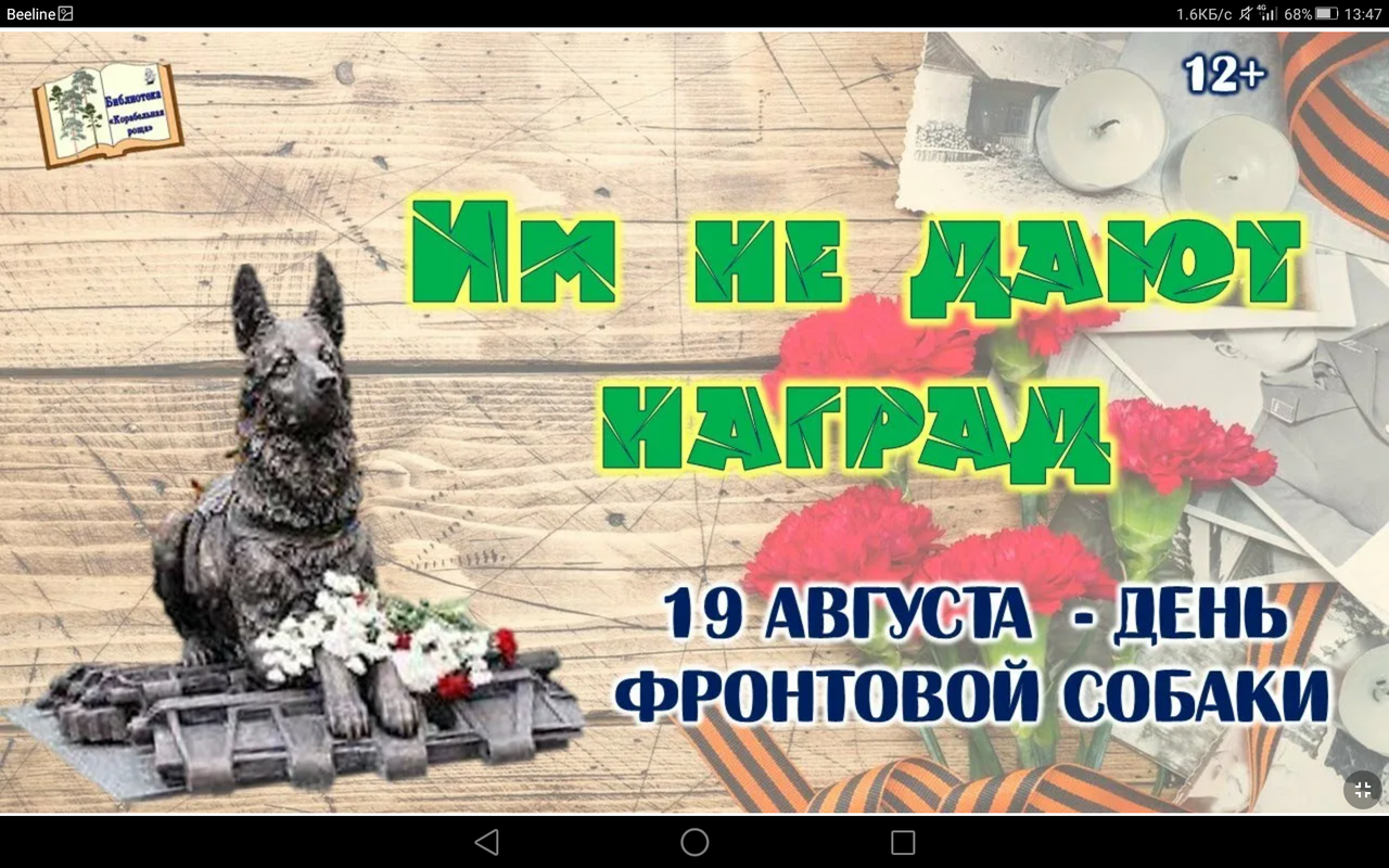 Screenshot_2023-08-19-13-47-04