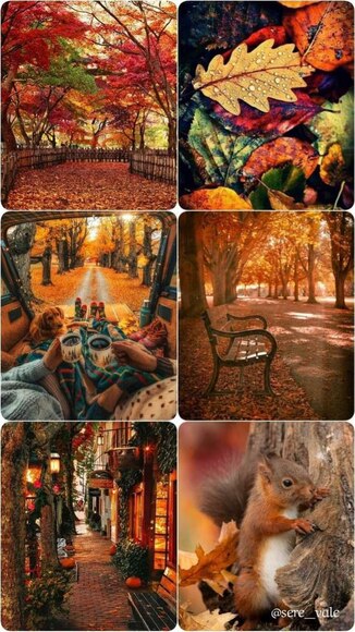 Fall-Collage1