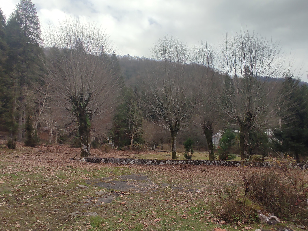 IMG-20211208-140312.jpg