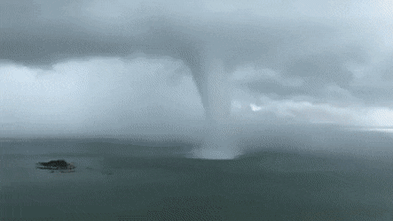 GIFs-1