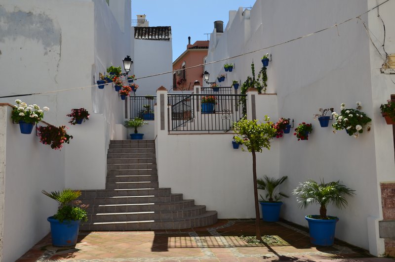 ESTEPONA-9-3-2017 - Málaga y sus pueblos-2009/2017 (81)