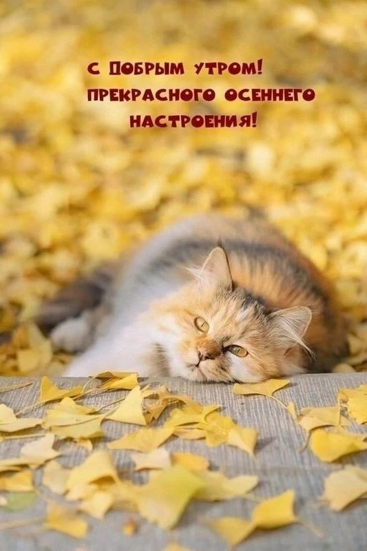 f6490e6d-fca7-4c78-9e35-57e0daecf293