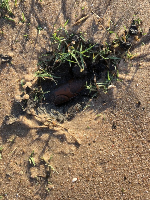 7099E8B4-C2E9-4EE8-A2FC-7AA161B477FC