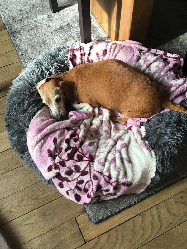 [Image: EB1129-C4-1214-4277-807-C-9303-A80-AC4-C6.jpg]