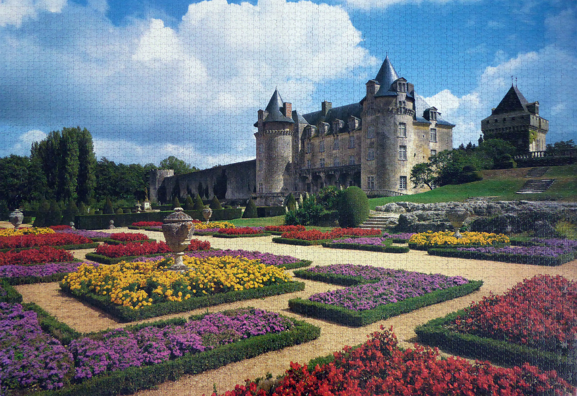 CastilloDeLaRocheCour5000Educa