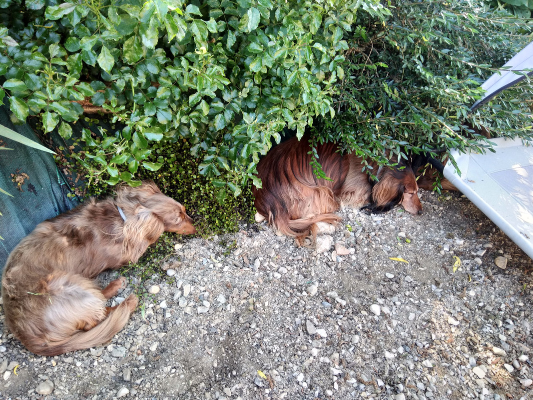 [Image: IMG-20230528-100814.jpg]