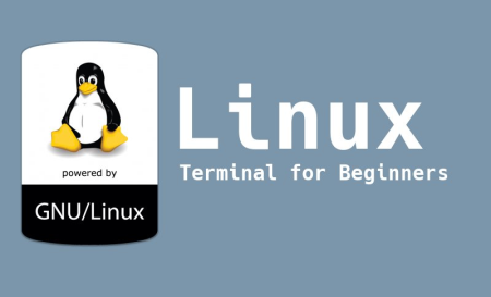 Skillshare - The Linux Command Line for Beginners