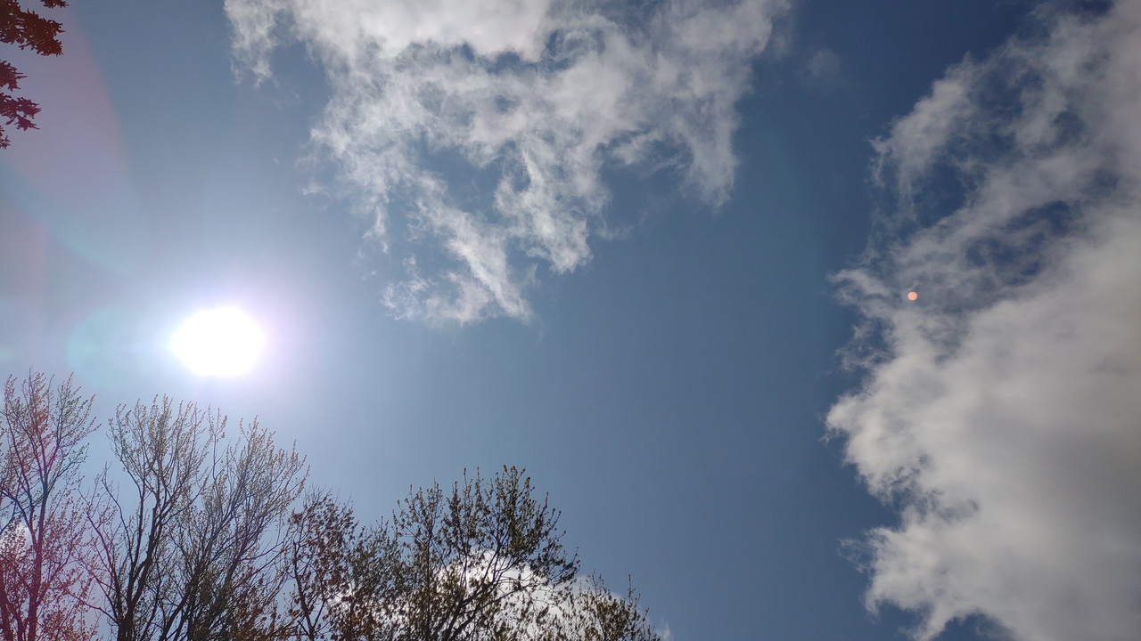 IMG_20250502_111649568