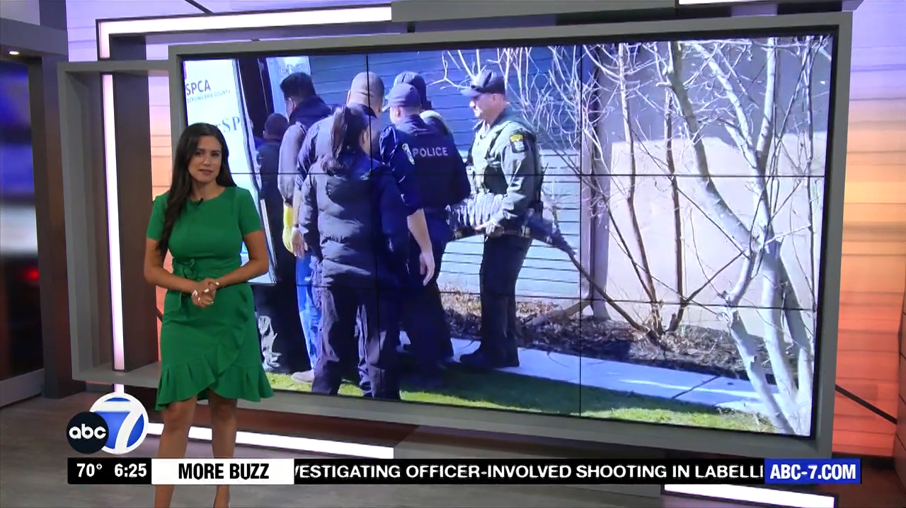 Abc7 More In The Morning Wkn 6Am Su 20240317 10001100-1.mp4_snapshot_21.53.110