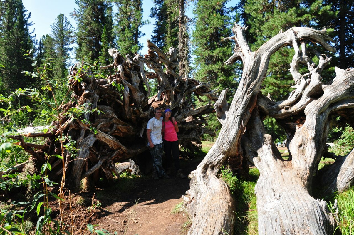 IMG_20190810_165544_405