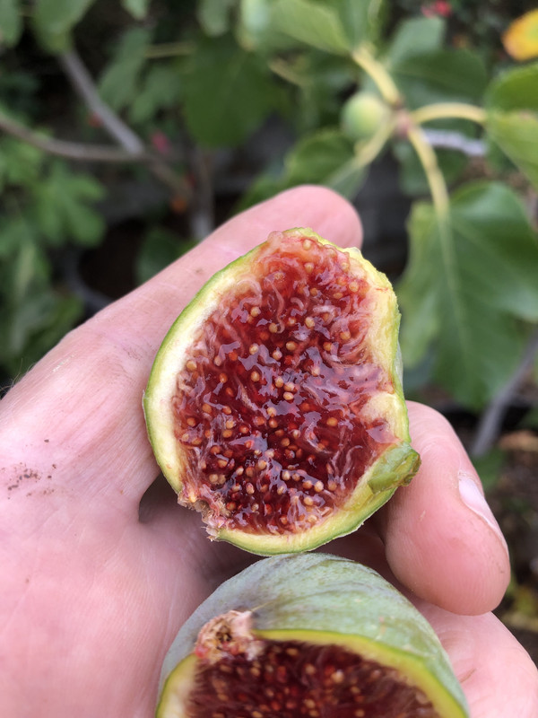 437147FA-A51D-4490-BAA1-1496525BCD08