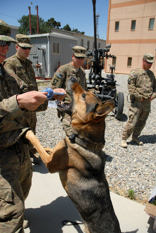 11791940_843168339113471_150880734015504078_o