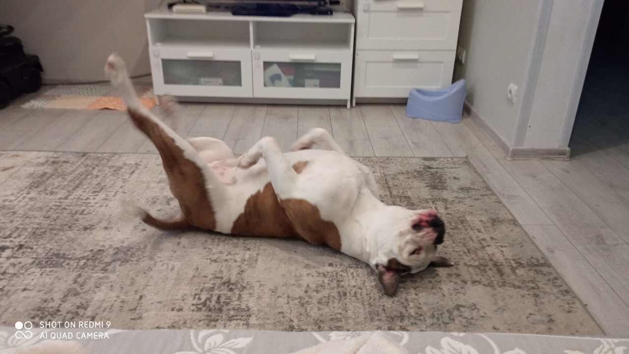 23128D3A-1B62-473A-95E4-6476A9670C49