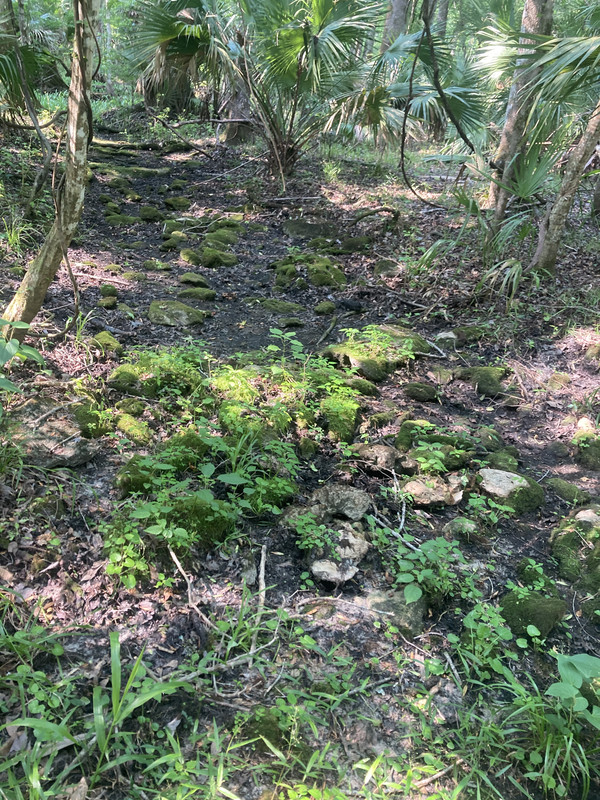 4728C794-CCAB-4040-815E-09D3474C004C