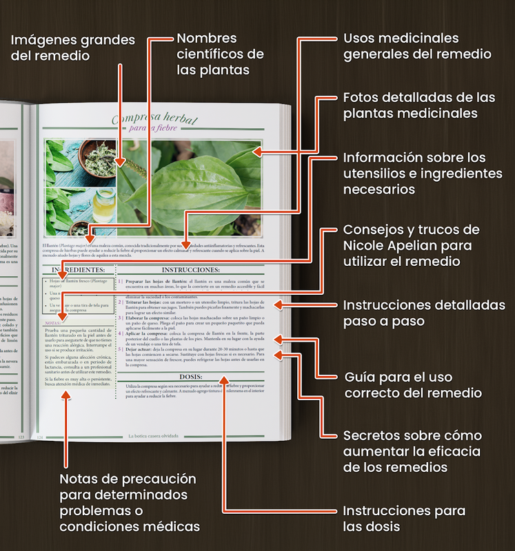 Interior del libro - detalle anotado