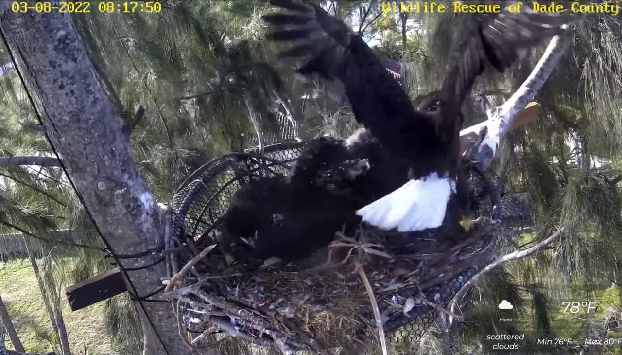 FB88622E-B135-4CF6-8EFD-75457C7815CF