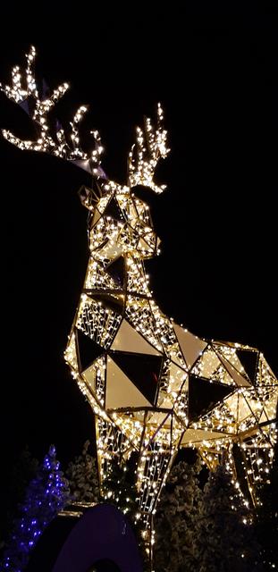 5 Dic: Mágico Montreux - ALSACIA EN NAVIDAD Y MONTREUX CON PAPÁ NOEL (25)