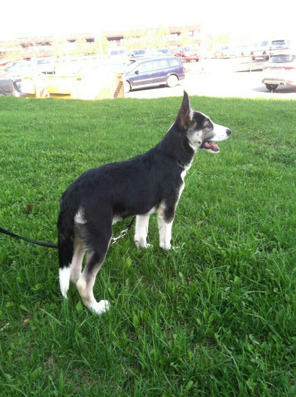 0-02-05-b459e8d8ab23f494e5cac44a4a024d3aa370f3b8ccef7f10436487e2