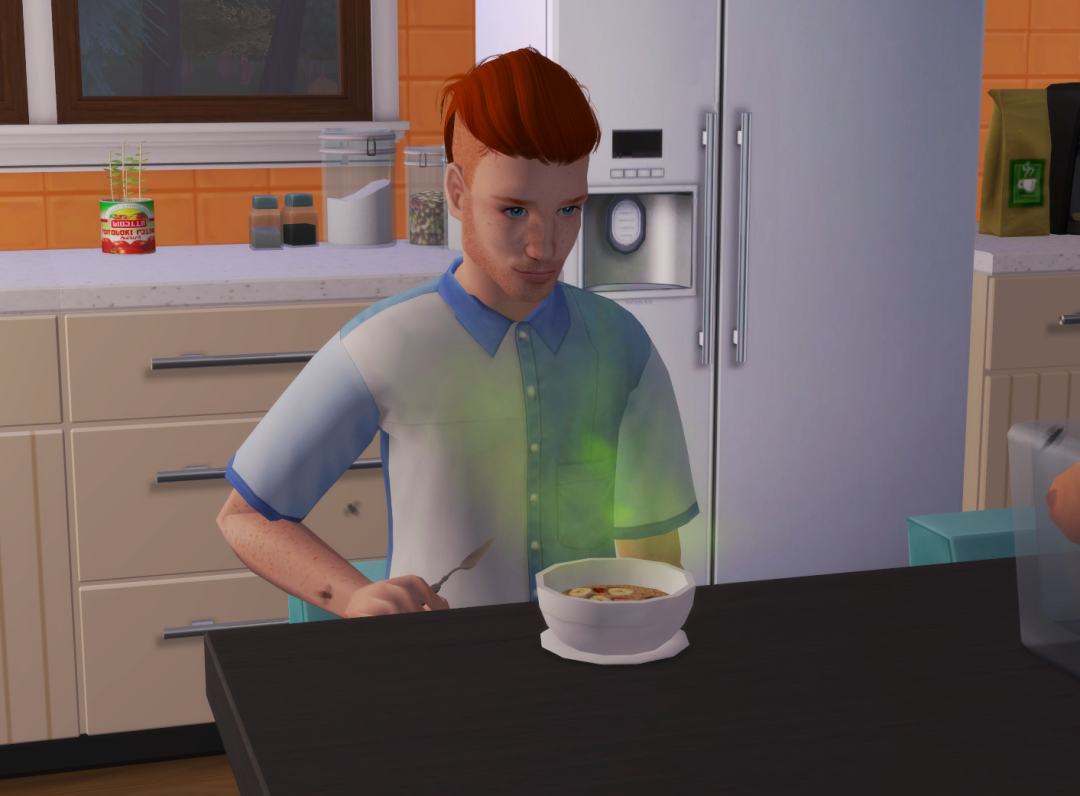 Sims2-EP9-RPC-2024-01-18-21-02-25-28