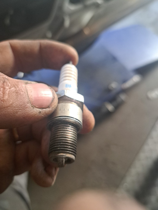 IMG_20230301_144200_011