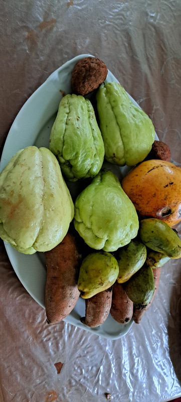 [Image: 20231024-101546.jpg]