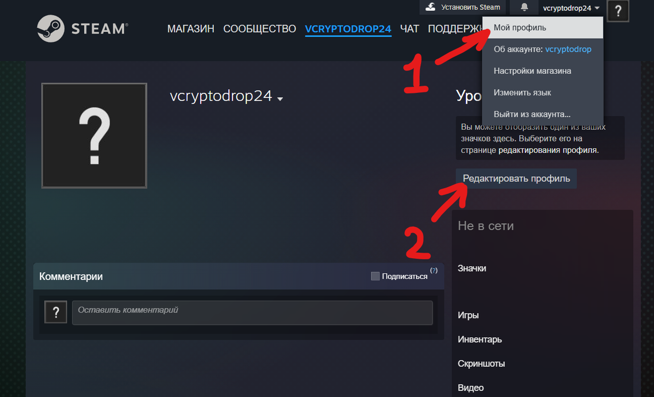 steam1