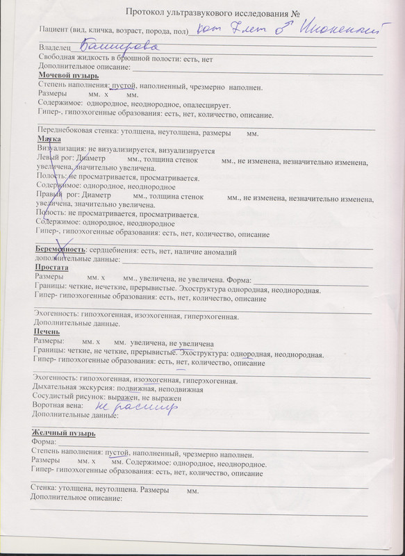Протоколы узи образцы. Протокол УЗИ брюшной полости собаки. Протокол УЗИ ветеринарный. Протокол УЗИ собаки органов брюшной полости. Протокол ультразвукового исследования животных брюшной полости